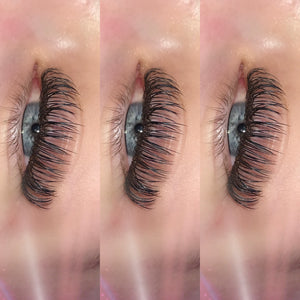 Classic Lashes Mixed Trays 8mm-15mm